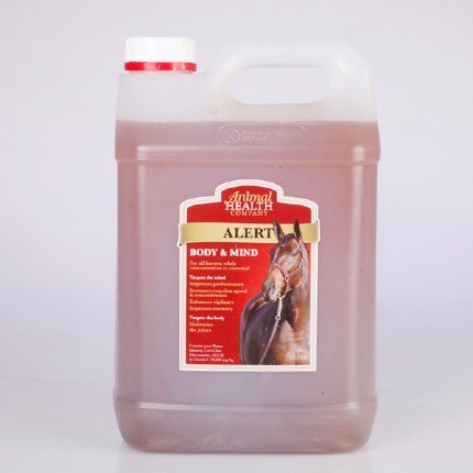 Alert Equine