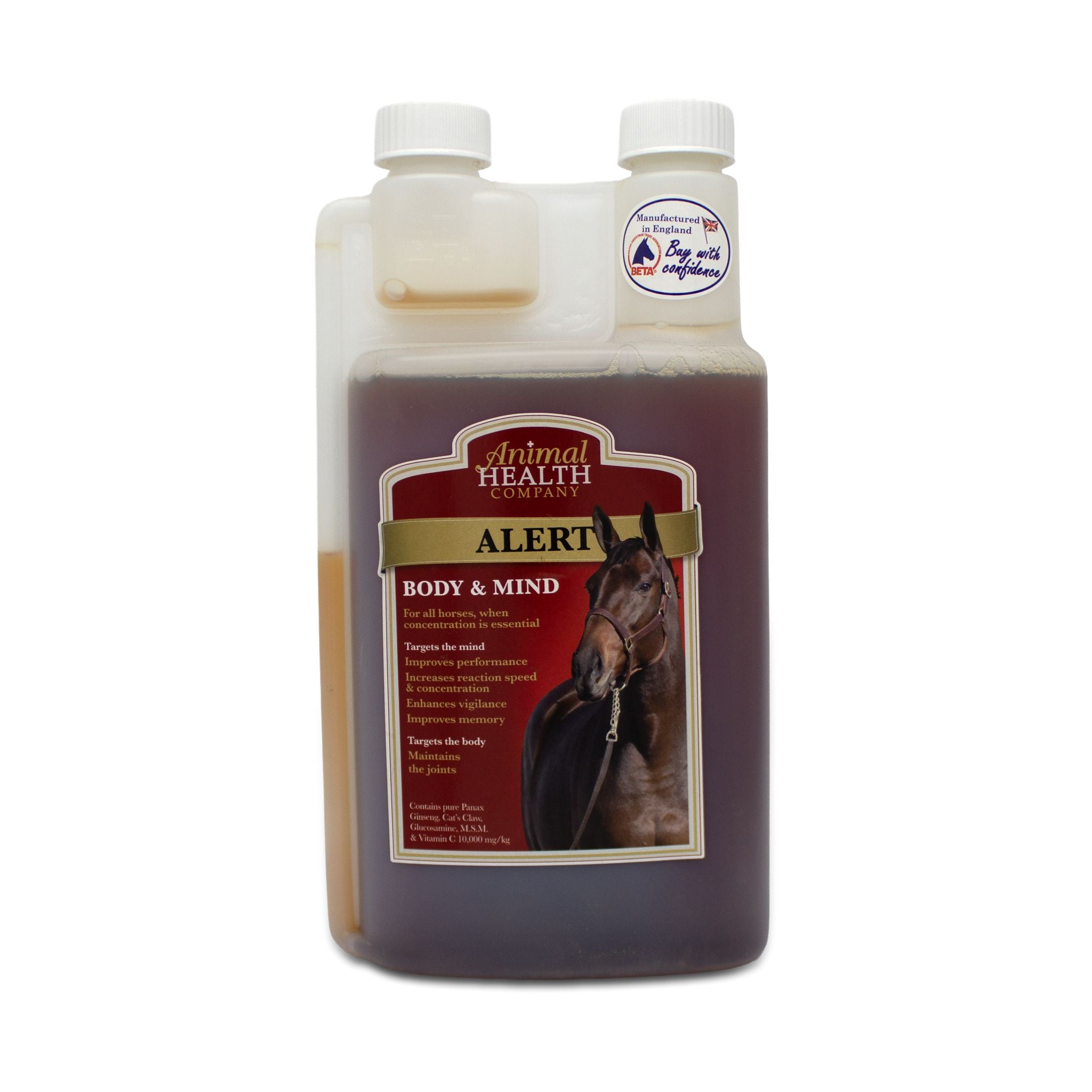 Alert Equine