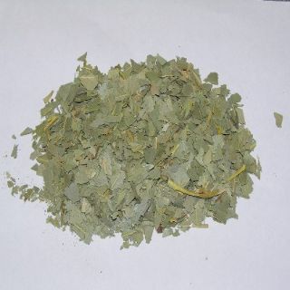 Eucalyptus Leaves
