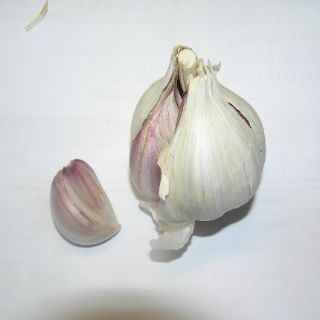 Raw Garlic Powder