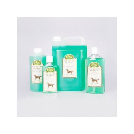 Adding tea tree outlet oil to dog shampoo