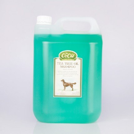 Tea Tree Oil Shampoo For Dogs OzOil Animal Health